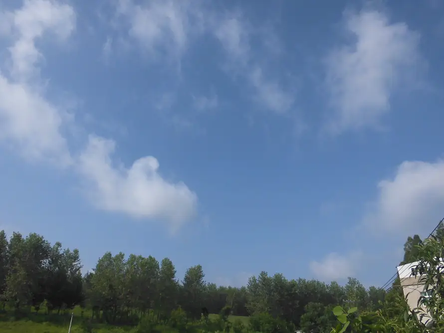 5k云朵壁纸-树 - 天空-户外「哲风壁纸」