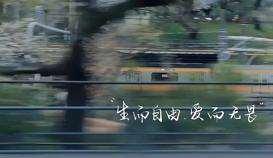 2k出行壁纸-文字 - 文案-树木「哲风壁纸」