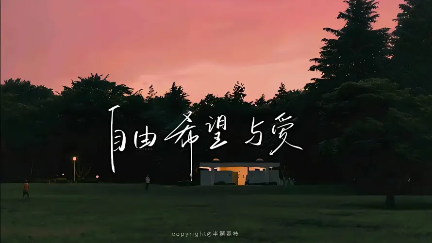 3k天空壁纸-文字 - 暖光-树林「哲风壁纸」