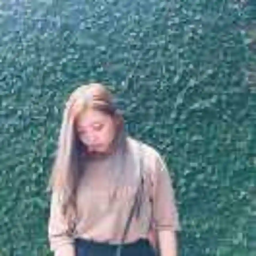 Phoebe的头像