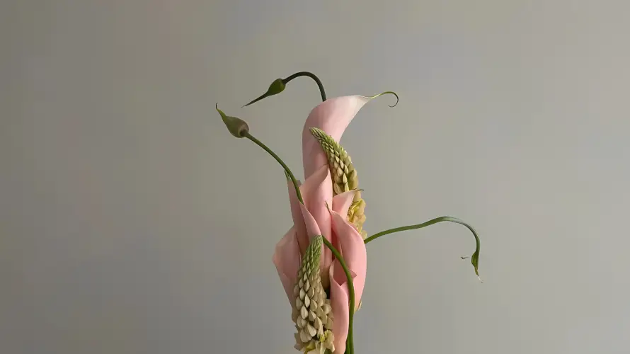 2k插花壁纸-淡雅 - 清新-简约「哲风壁纸」