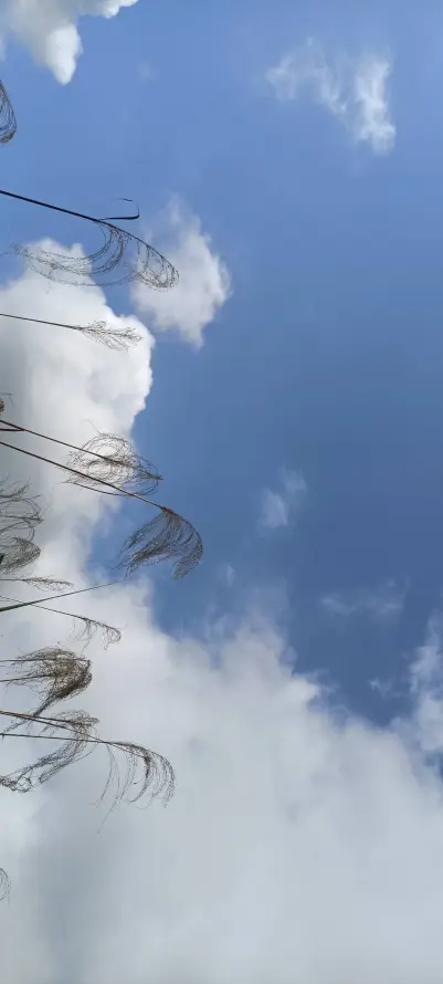 4k天空壁纸 - 户外 - 晴天 - 晴空「哲风壁纸」