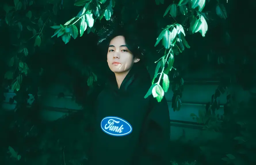 5k人像壁纸-夜晚 - 树叶-绿植「哲风壁纸」