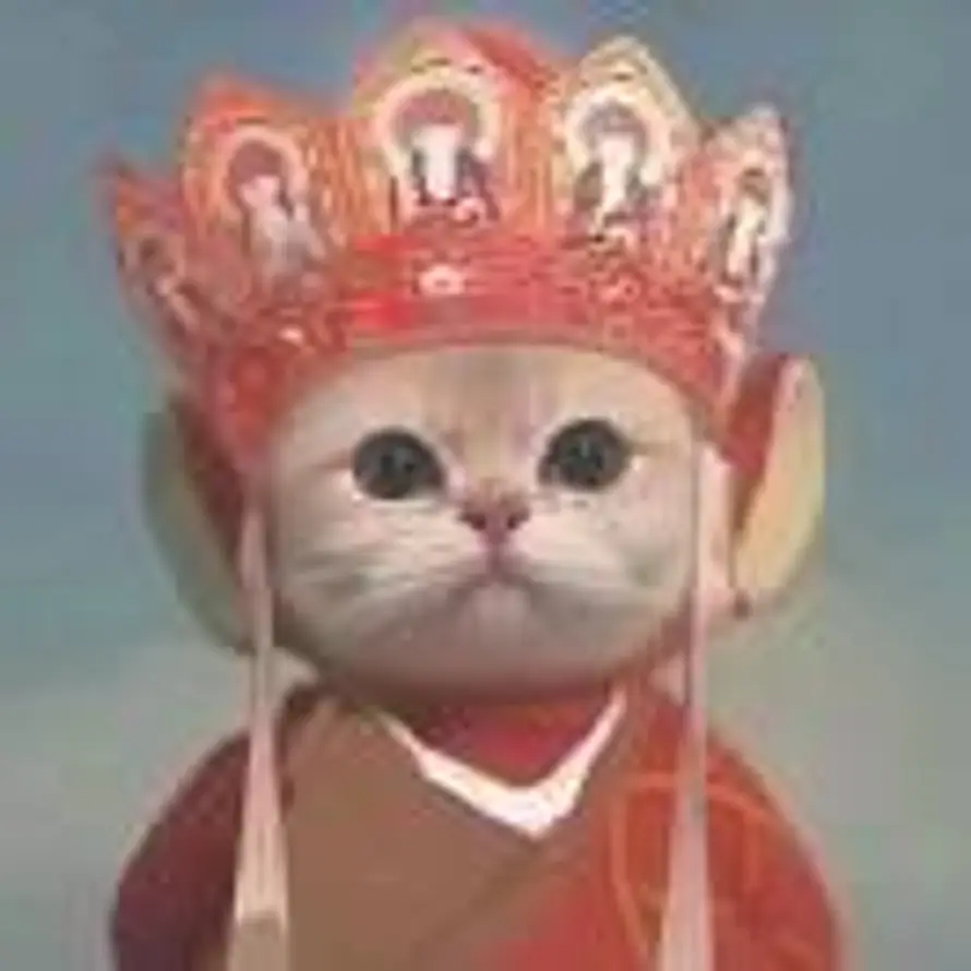 大眼邓小眼的头像