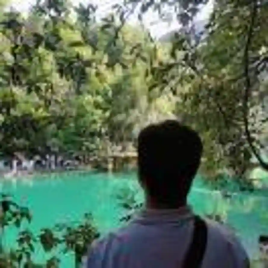 小胖的头像