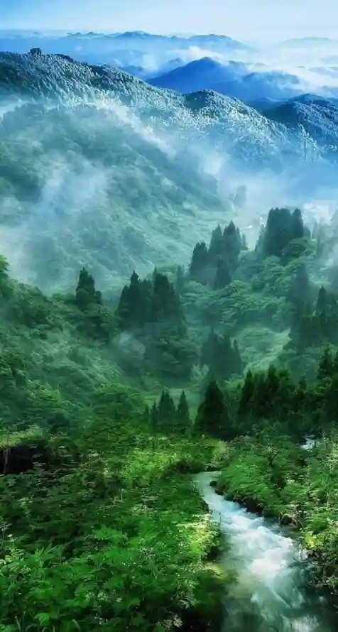4k云雾壁纸 - 山水 - 山脉 - 峡谷「哲风壁纸」