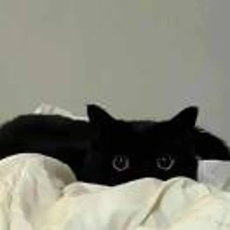 Without゛的头像
