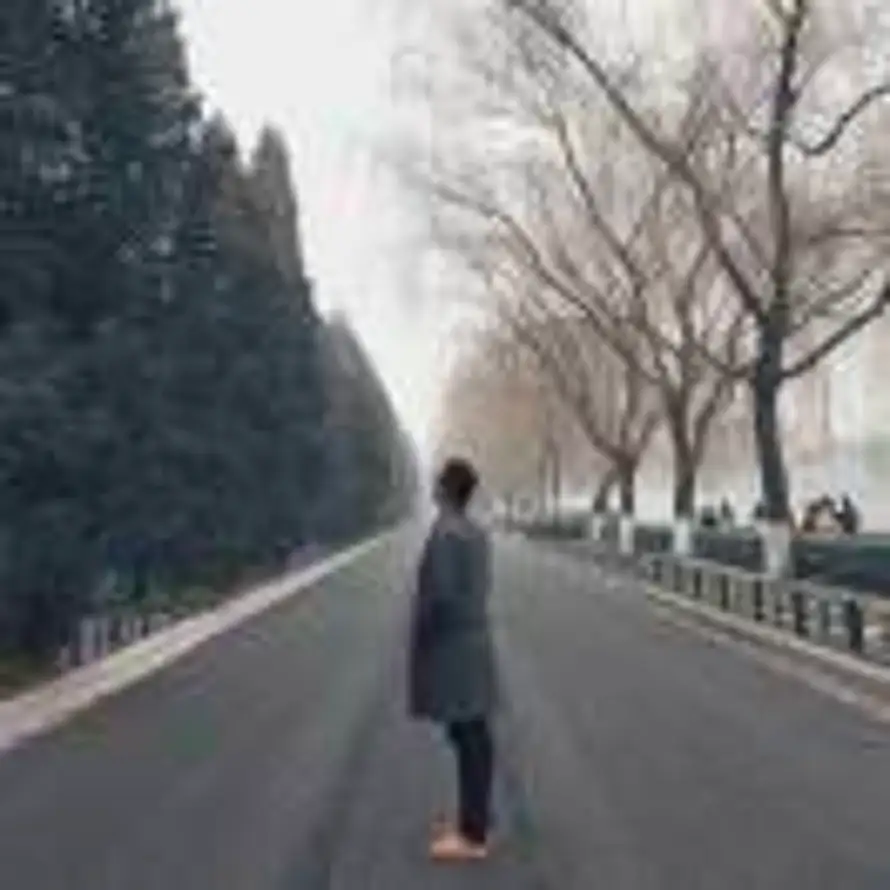 陈曦的头像