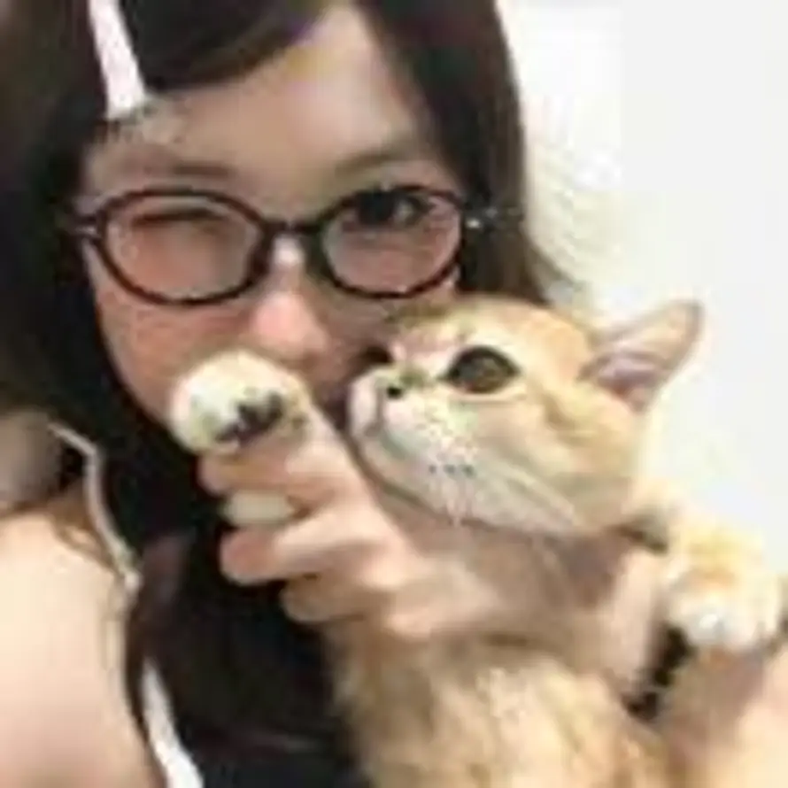 哈哈哈哈的头像