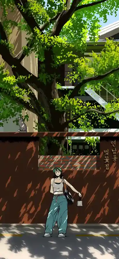 4k光影壁纸 - 卡通 - 夏日 - 大树「哲风壁纸」