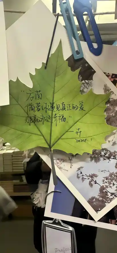 4k书桌壁纸 - 便签 - 叶脉 - 夹子「哲风壁纸」