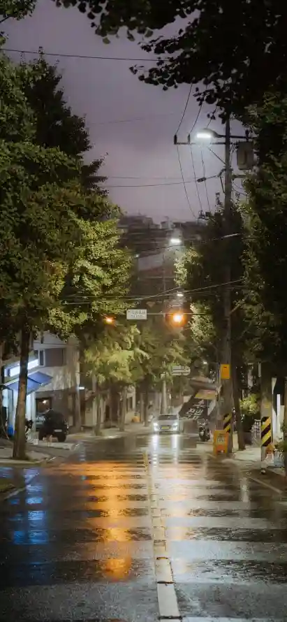 4k倒影壁纸 - 夜晚 - 树木 - 灯光「哲风壁纸」