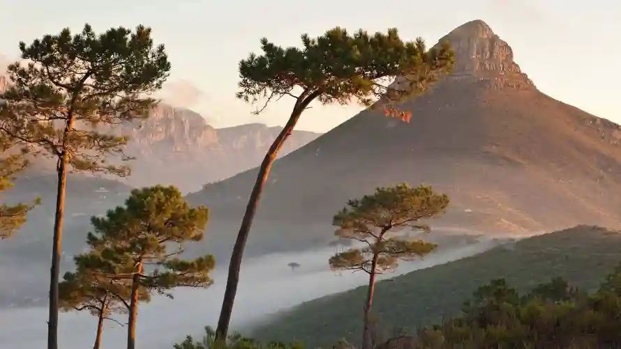 2k云雾壁纸-山 - 树-山峦「哲风壁纸」