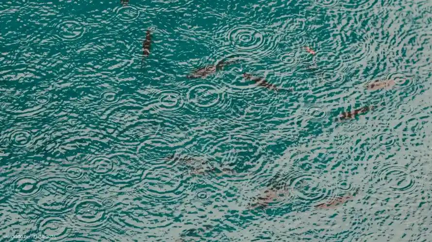 2k沙滩壁纸-波纹 - 浅滩-海岸「哲风壁纸」