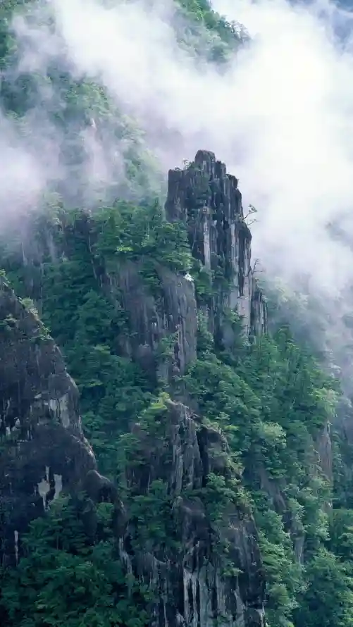 4k云雾壁纸 - 山峰 - 山川 - 山林「哲风壁纸」