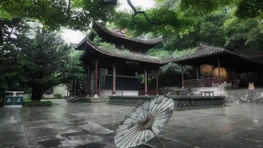 2k古亭壁纸-庭院 - 树木-水雾「哲风壁纸」