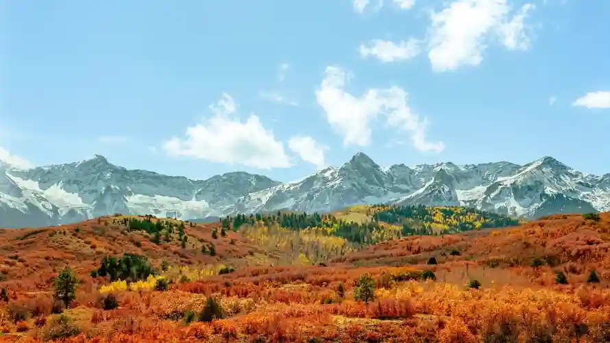 3k白云壁纸-秋林 - 蓝天-远山「哲风壁纸」