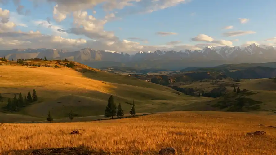 3k山地壁纸-开阔 - 旷野-树木「哲风壁纸」
