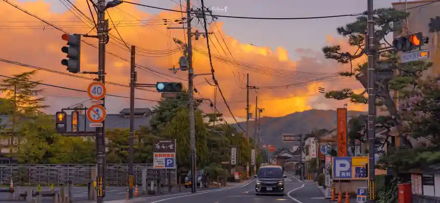 3k公路壁纸-日落 - 晚霞-松树「哲风壁纸」