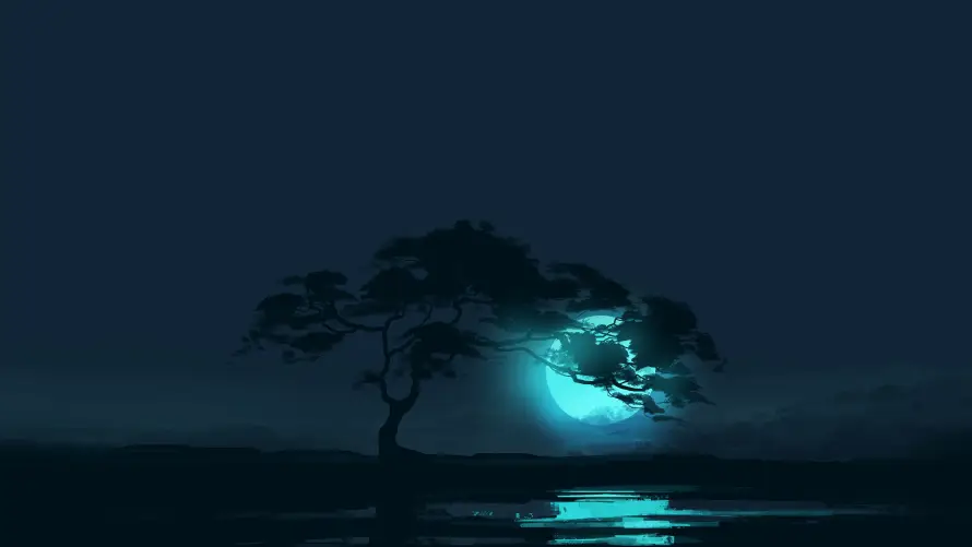 6k夜景壁纸-孤树 - 月夜-海景「哲风壁纸」