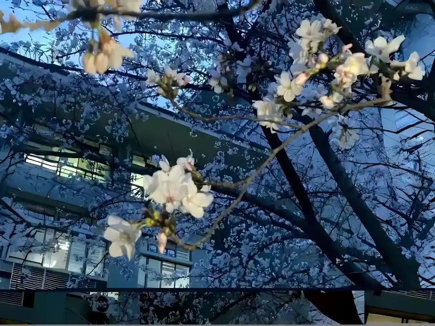 2k城市壁纸-夜景 - 建筑-户外「哲风壁纸」