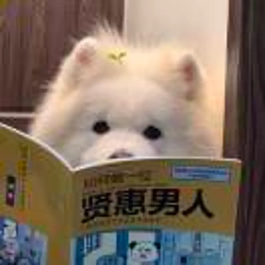 五月的头像