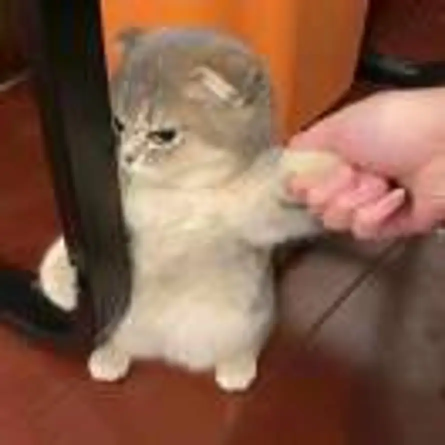 ㅤㅤ的头像