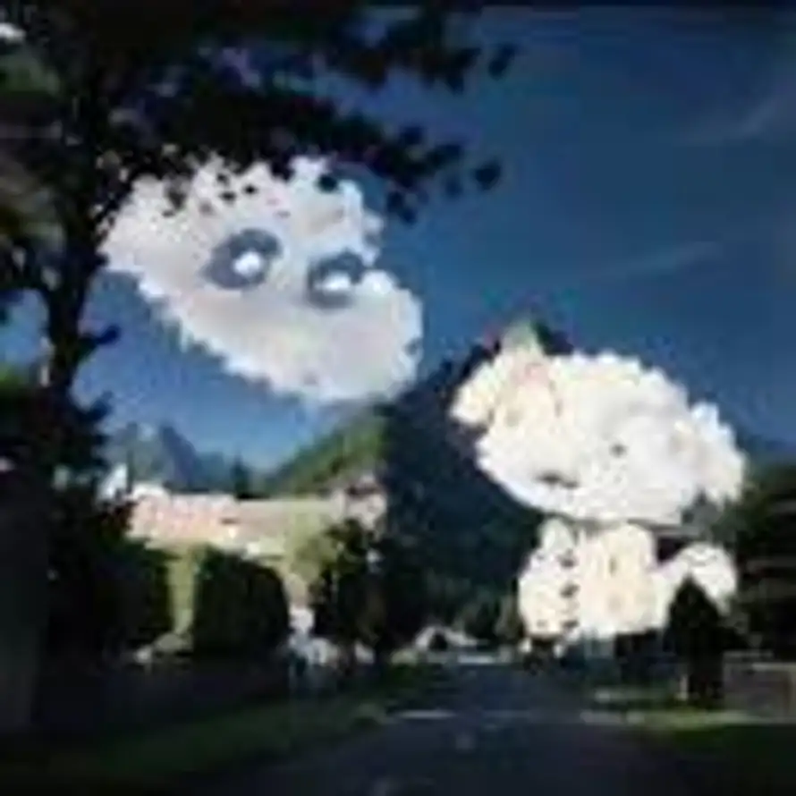 〃Aurora的头像