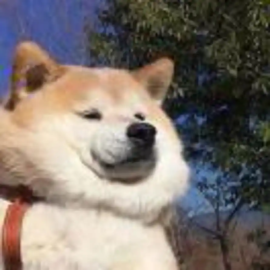 1的头像