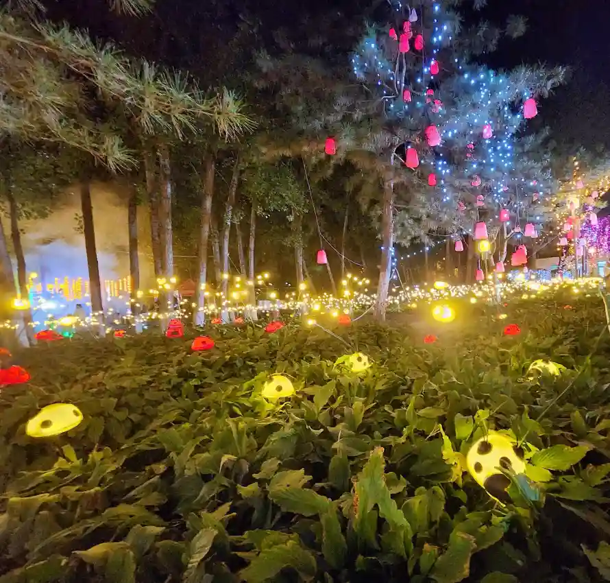 3k公园壁纸-夜景 - 彩灯-树木「哲风壁纸」 3k公园壁纸-夜景 - 彩灯-树木「哲风壁纸」