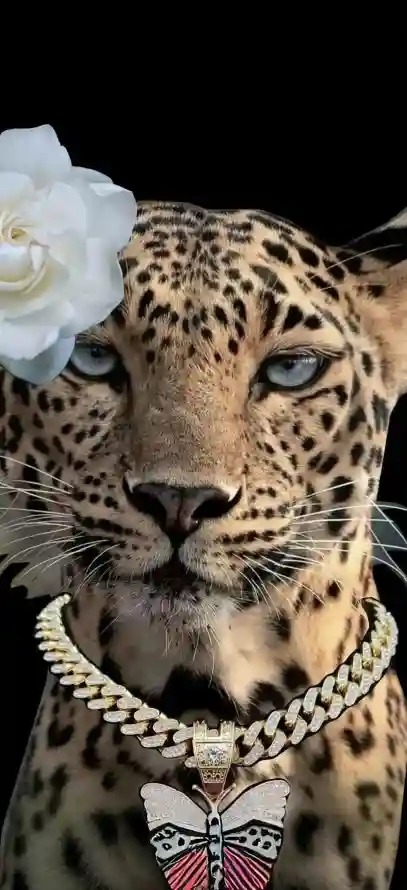 4k个性壁纸 - 时尚 - 潮酷 - 猎豹「哲风壁纸」
