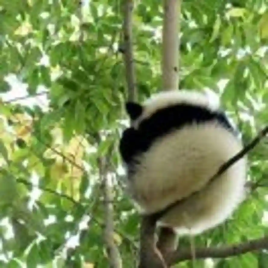 Leo的头像