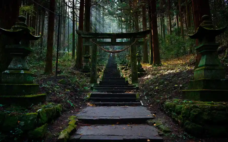 3k古建壁纸-幽深 - 树林-森林「哲风壁纸」