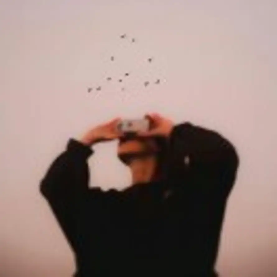 顾问的头像