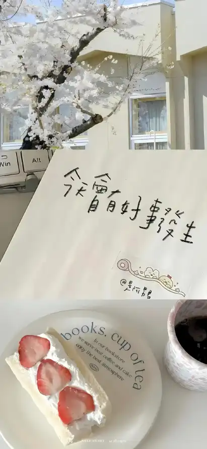 4k咖啡壁纸 - 春日 - 樱花 - 治愈「哲风壁纸」