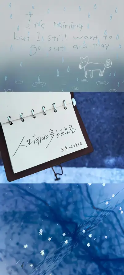 4k光斑壁纸 - 小狗 - 插图 - 水洼「哲风壁纸」