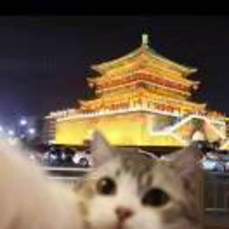 L的头像