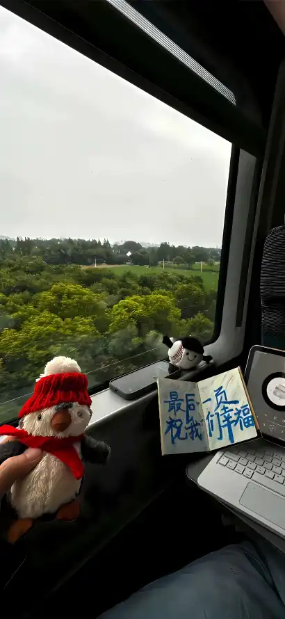 4k旅途壁纸 - 树林 - 治愈 - 玩偶「哲风壁纸」