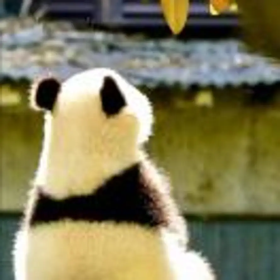 111的头像