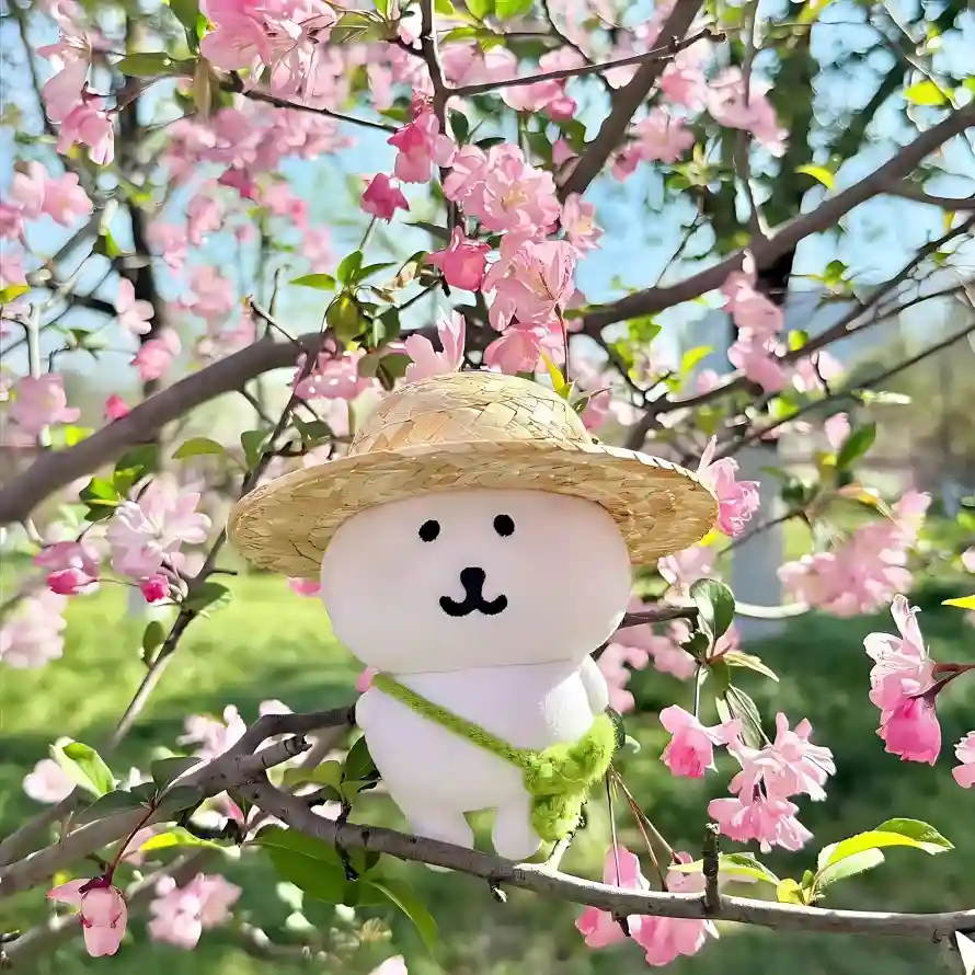 4k可爱壁纸 - 户外 - 春日 - 晴天「哲风壁纸」