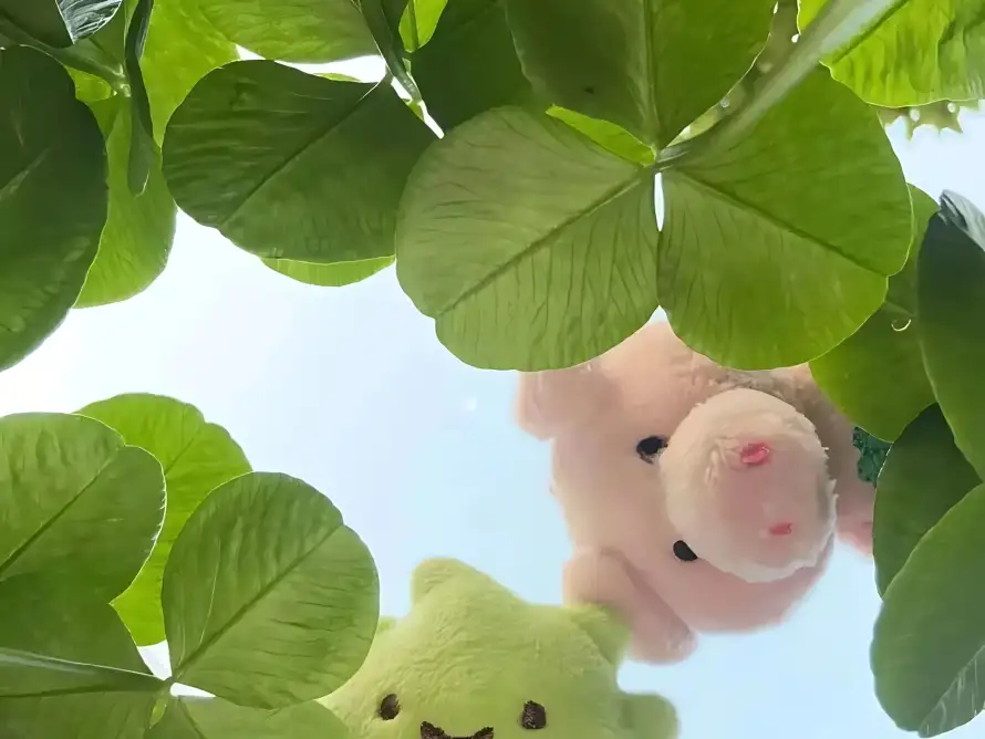 2k仰拍壁纸-公仔 - 可爱-小熊「哲风壁纸」