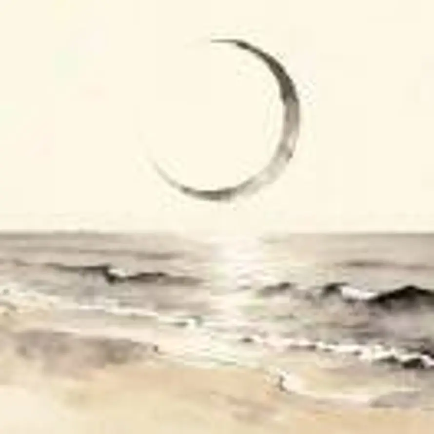 🌙的头像