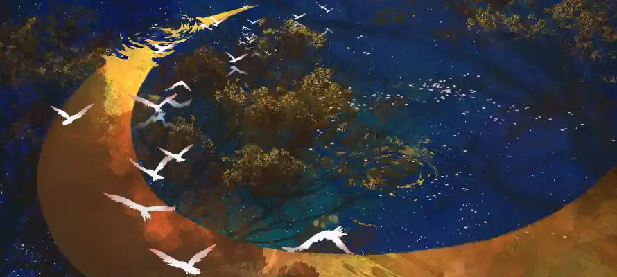 2k卡通壁纸-夜空 - 岛屿-手绘「哲风壁纸」