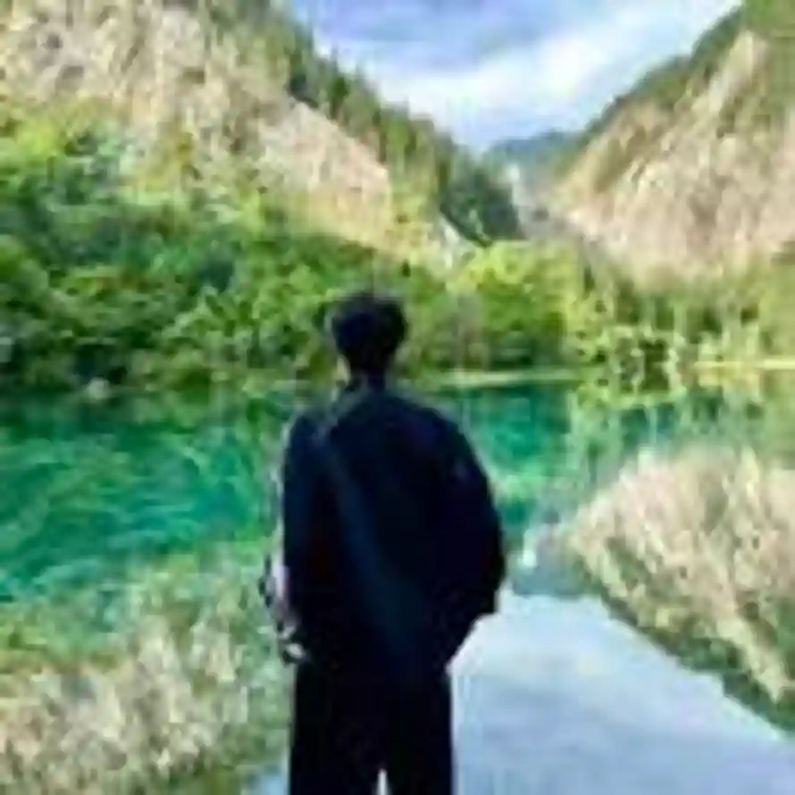 第二支羽毛的头像