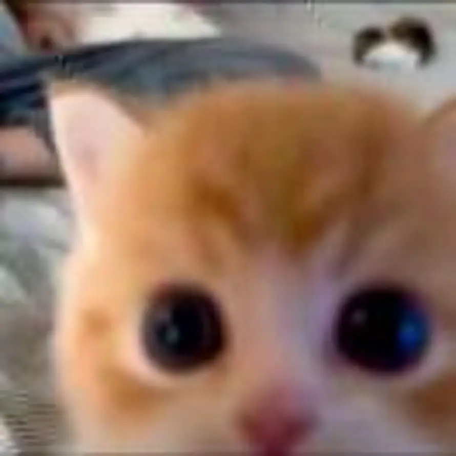 大甜子🐾的头像