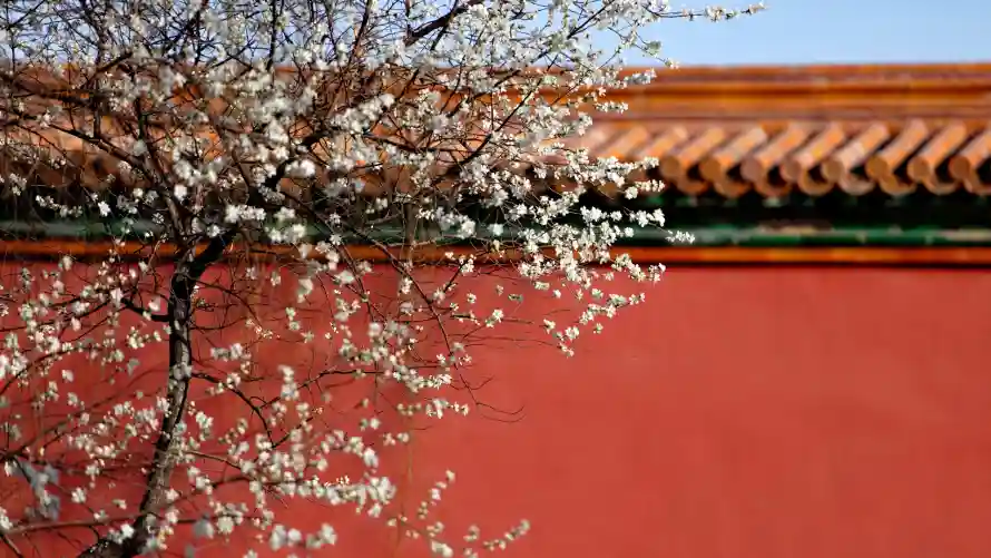 2k中式壁纸-古建 - 宫墙-故宫「哲风壁纸」