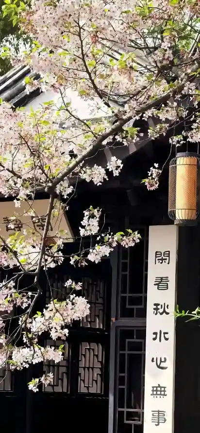 4k古建壁纸 - 古韵 - 国风 - 对联「哲风壁纸」