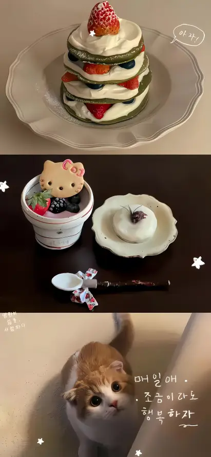 4k勺子壁纸 - 可爱 - 奶油 - 小猫「哲风壁纸」