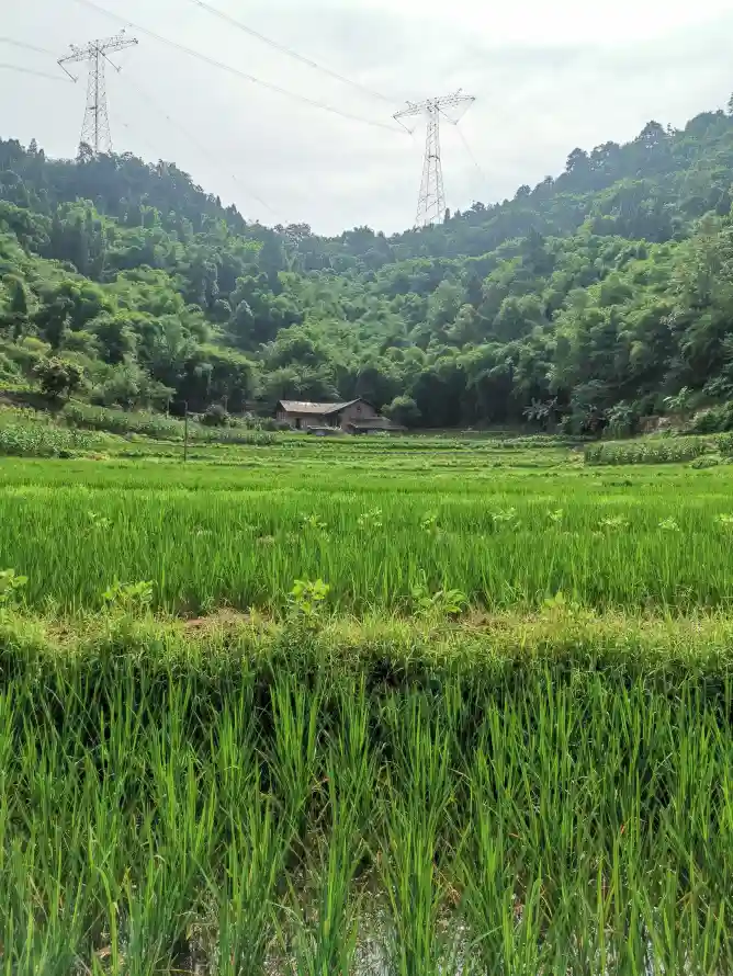 4k乡村壁纸 - 农村 - 农舍 - 山野「哲风壁纸」