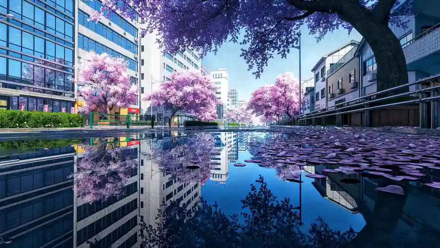 4k倒影壁纸-建筑 - 春日-樱花「哲风壁纸」